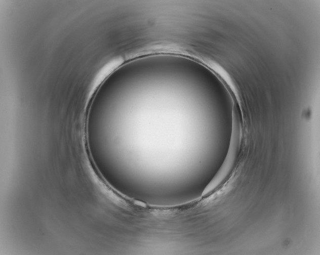 X0000091301389200708172200