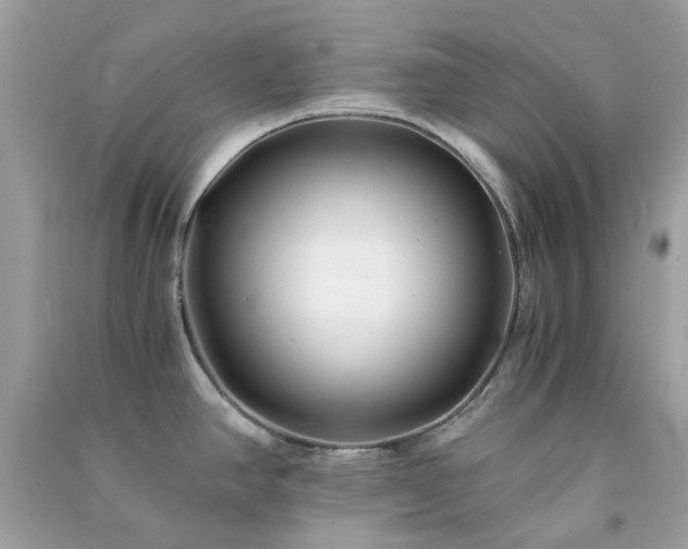 X0000091301390200708172200