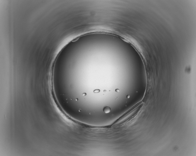 X0000091301391200708172200