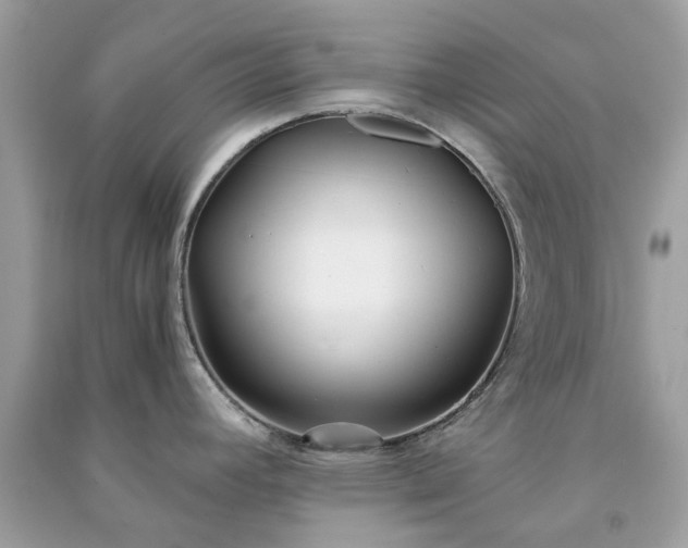 X0000091301392200708172200