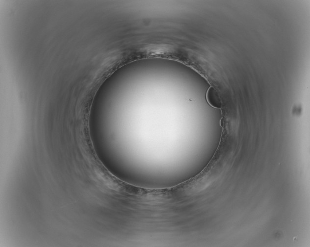 X0000091301393200708172159