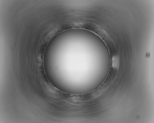 X0000091301395200708172159