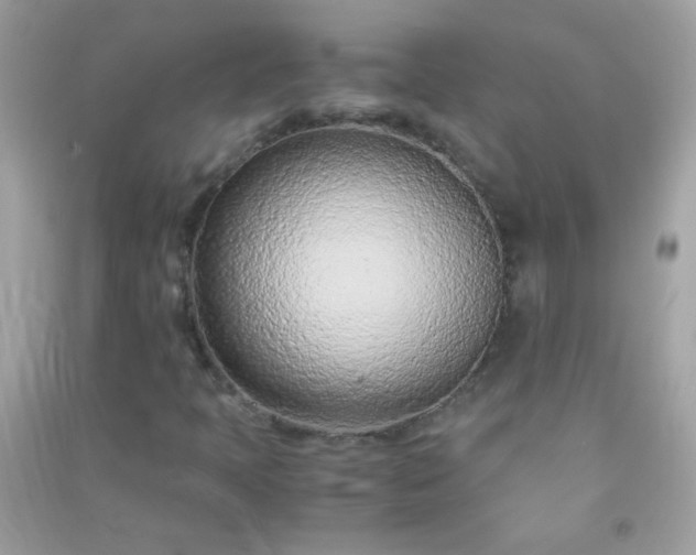 X0000091301397200708172159