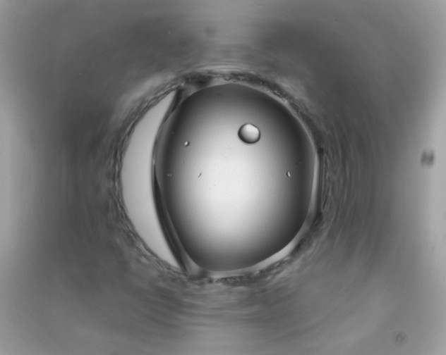 X0000091301398200708172159