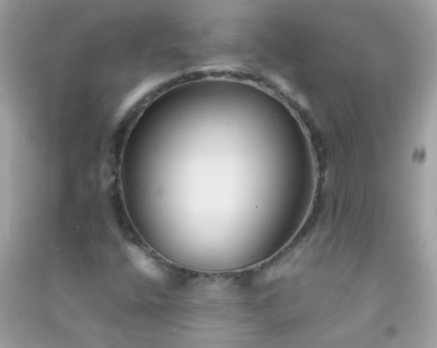 X0000091301400200708172159