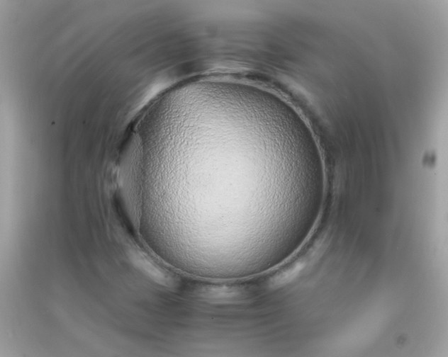 X0000091301401200708172159