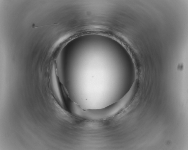 X0000091301402200708172159