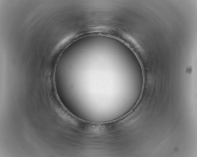 X0000091301403200708172159