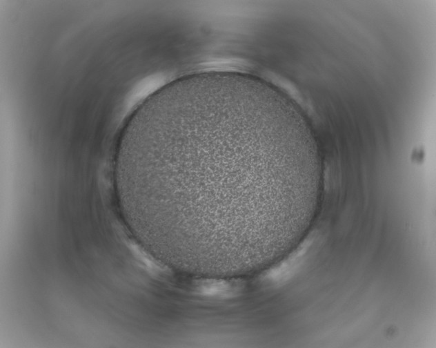 X0000091301405200708172159