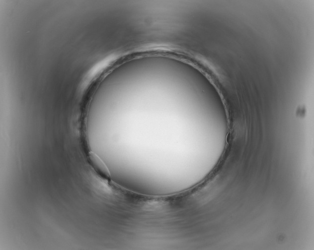 X0000091301406200708172159