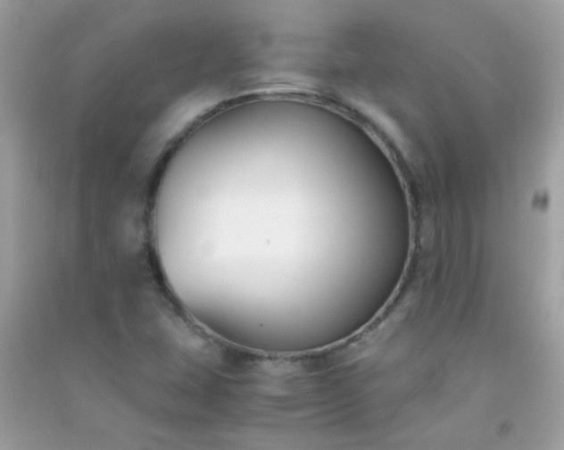 X0000091301407200708172159