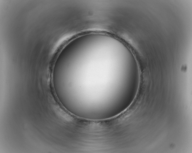 X0000091301408200708172159