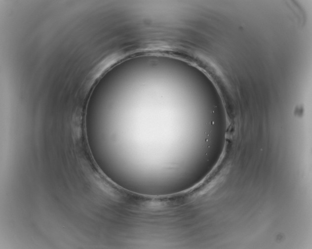 X0000091301409200708172159