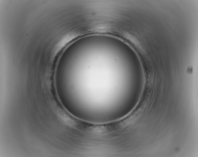 X0000091301410200708172159