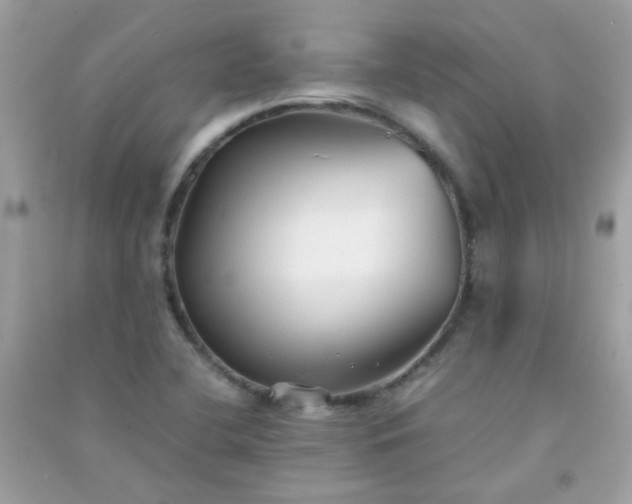 X0000091301412200708172159