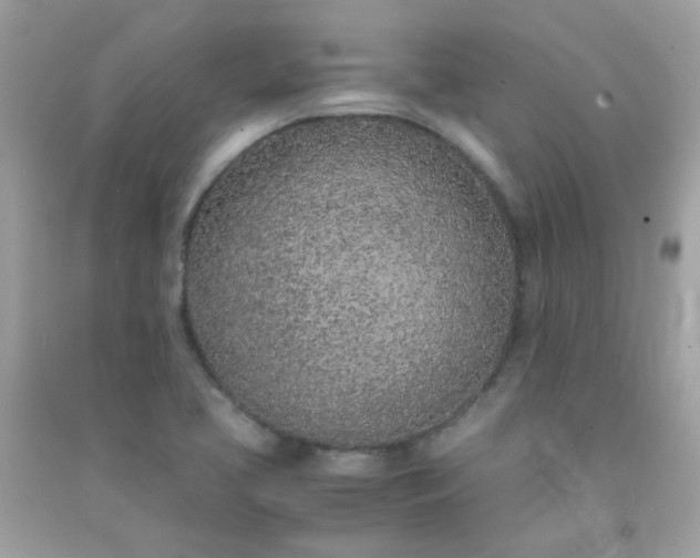 X0000091301413200708172159