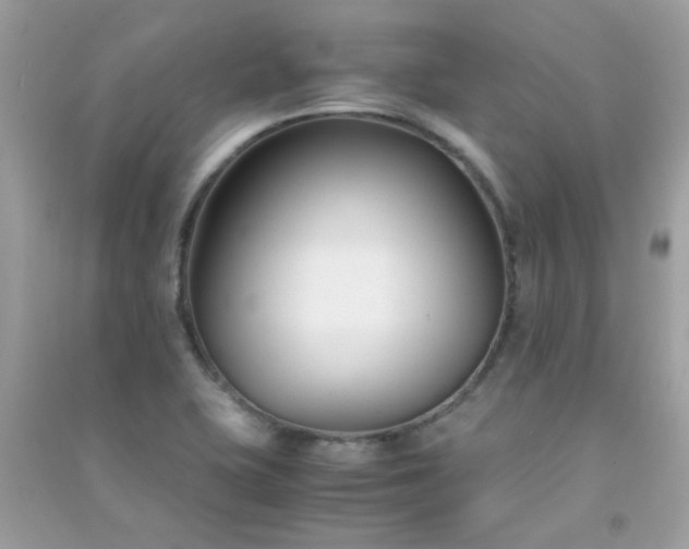 X0000091301415200708172159