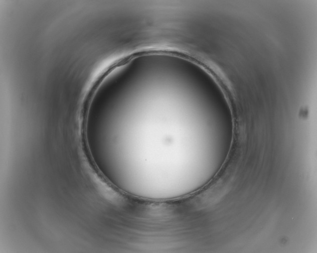 X0000091301416200708172159