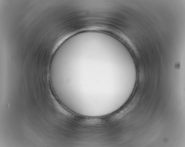 X0000091301417200708172159