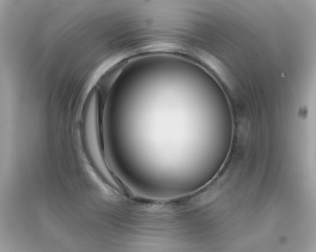 X0000091301418200708172159