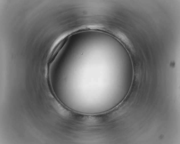 X0000091301420200708172159