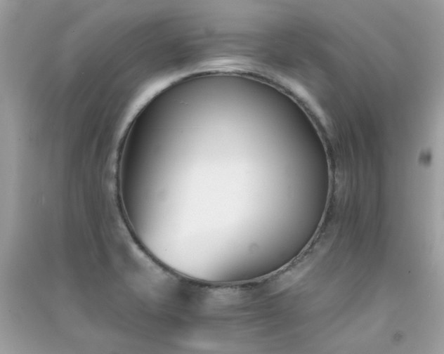 X0000091301421200708172159