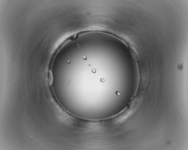 X0000091301422200708172159