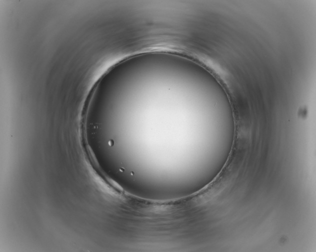 X0000091301423200708172159