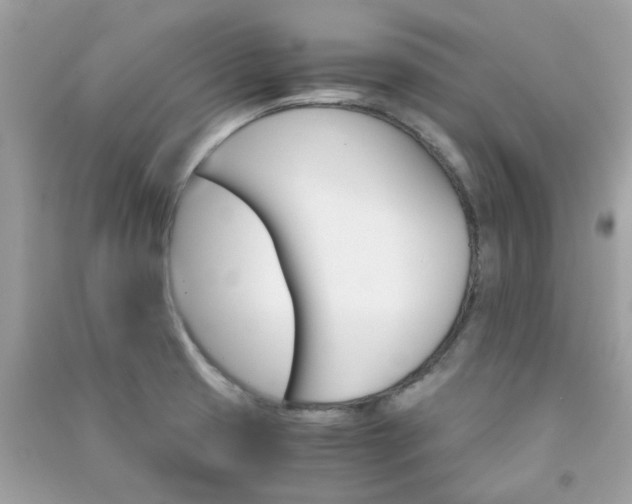 X0000091301425200708172159