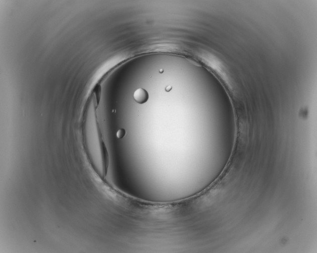 X0000091301426200708172159