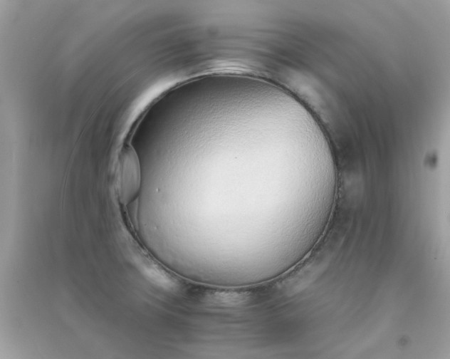 X0000091301427200708172159