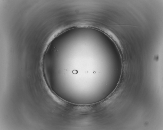 X0000091301429200708172159