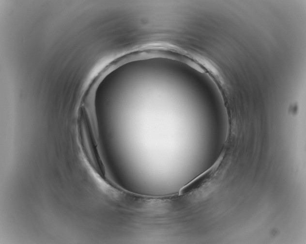 X0000091301430200708172159