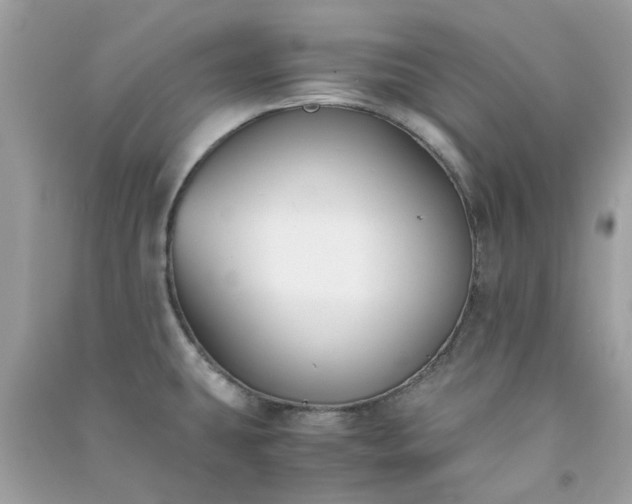 X0000091301431200708172159