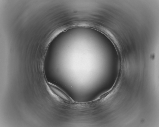 X0000091301433200708172159