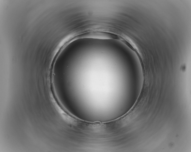 X0000091301434200708172159