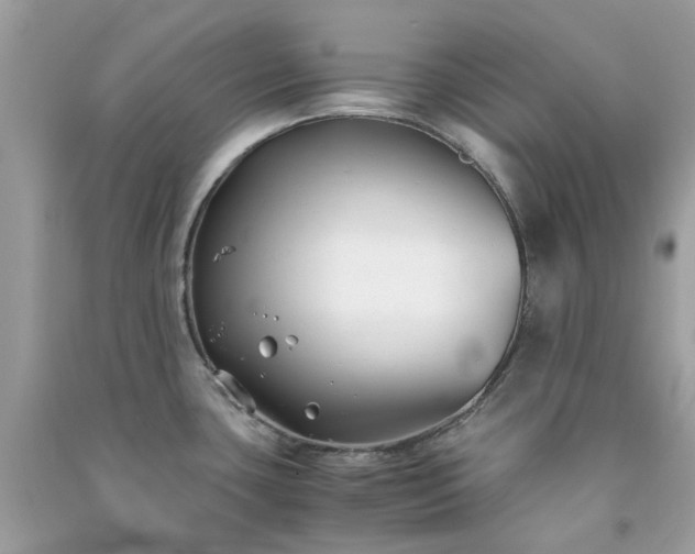 X0000091301435200708172159