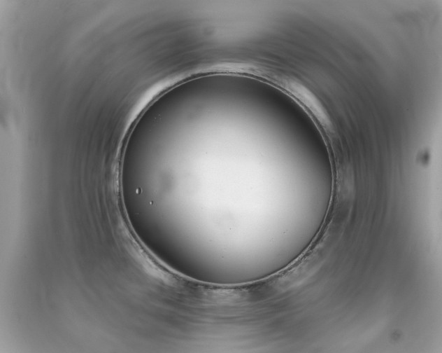 X0000091301436200708172159