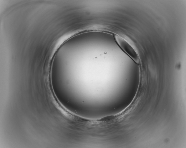 X0000091301437200708172159