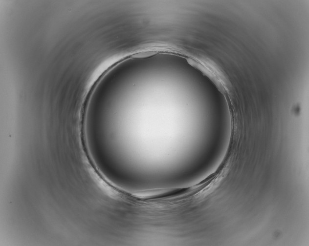 X0000091301438200708172200