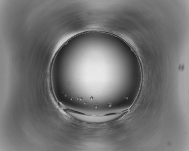 X0000091301440200708172200