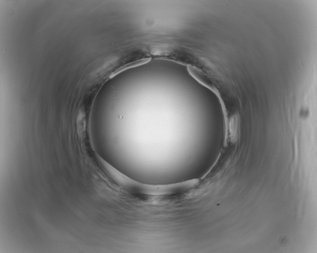 X0000091301443200708172159