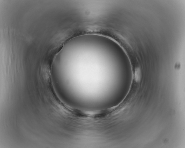 X0000091301444200708172159