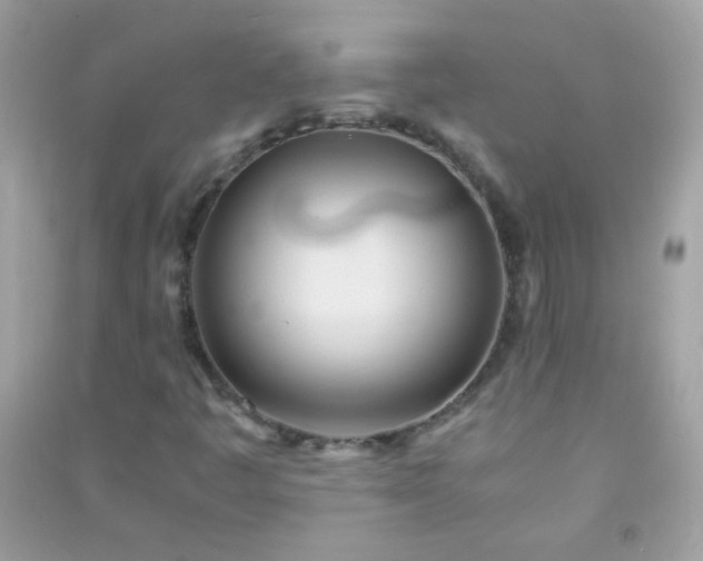 X0000091301445200708172159