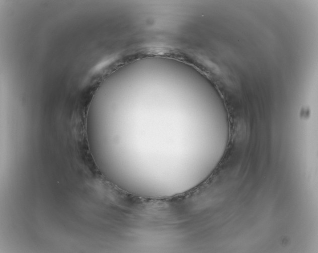 X0000091301446200708172159