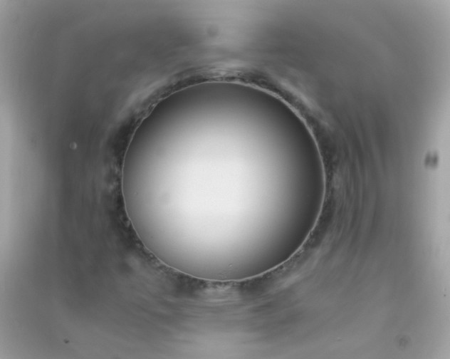 X0000091301447200708172159