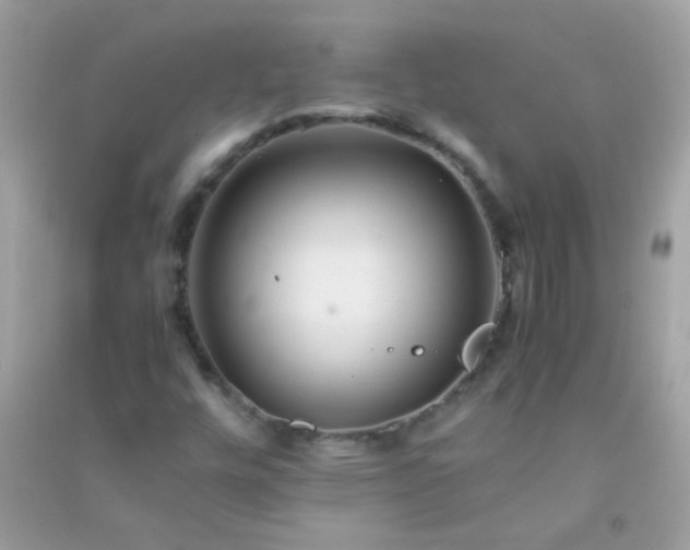 X0000091301448200708172159