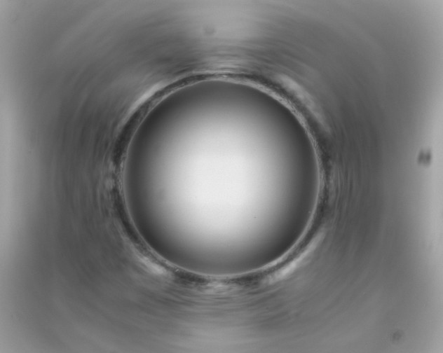 X0000091301449200708172159