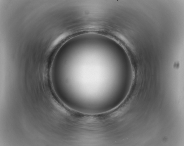 X0000091301450200708172159