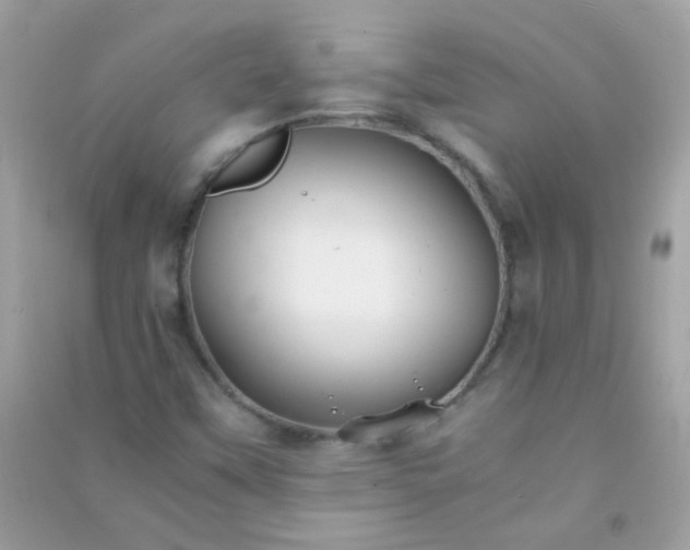 X0000091301451200708172159